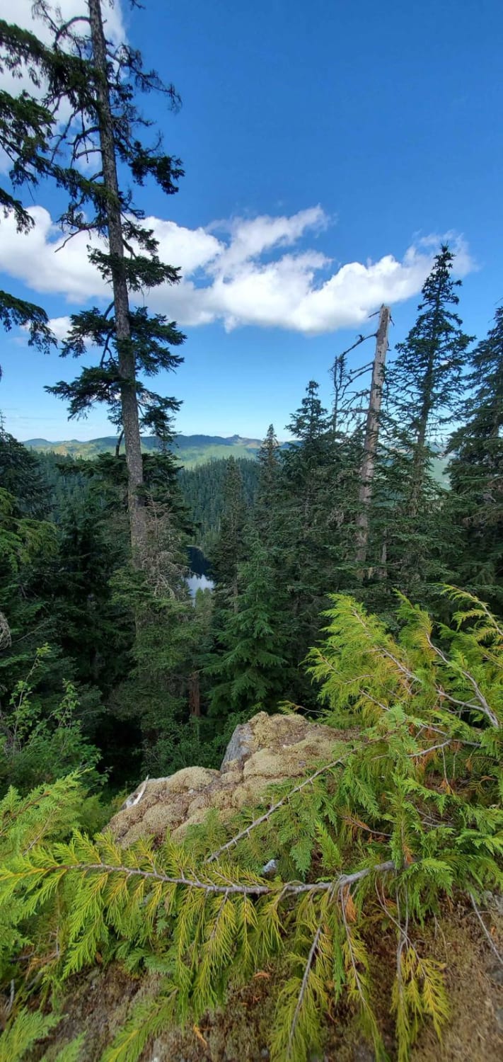 Lake Overlook Camp Out Road