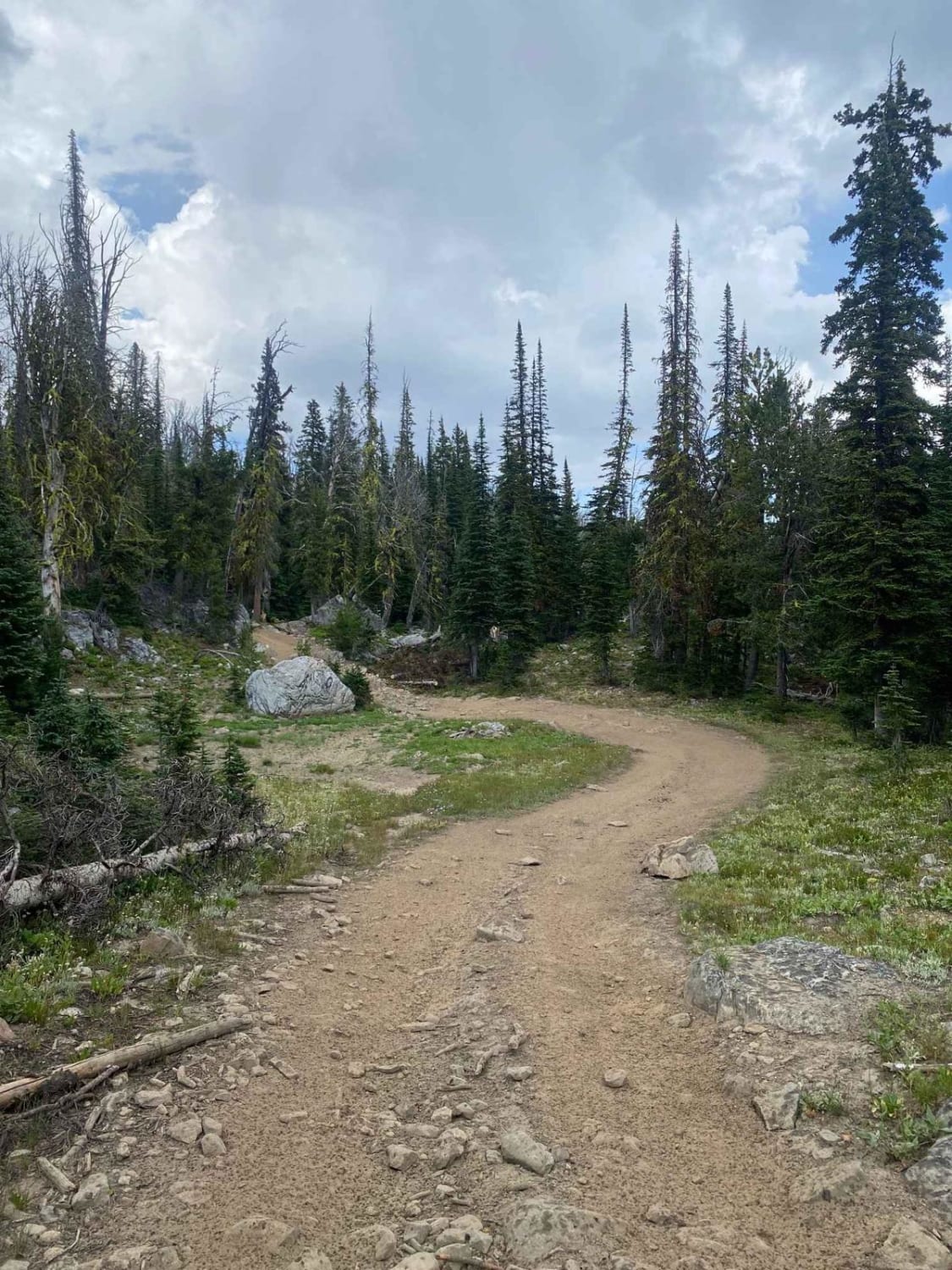 Cliff Lake Trail