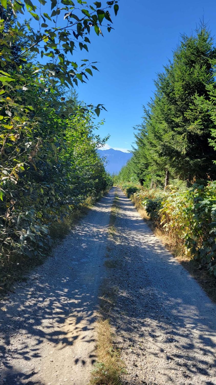 North Mountain Trail