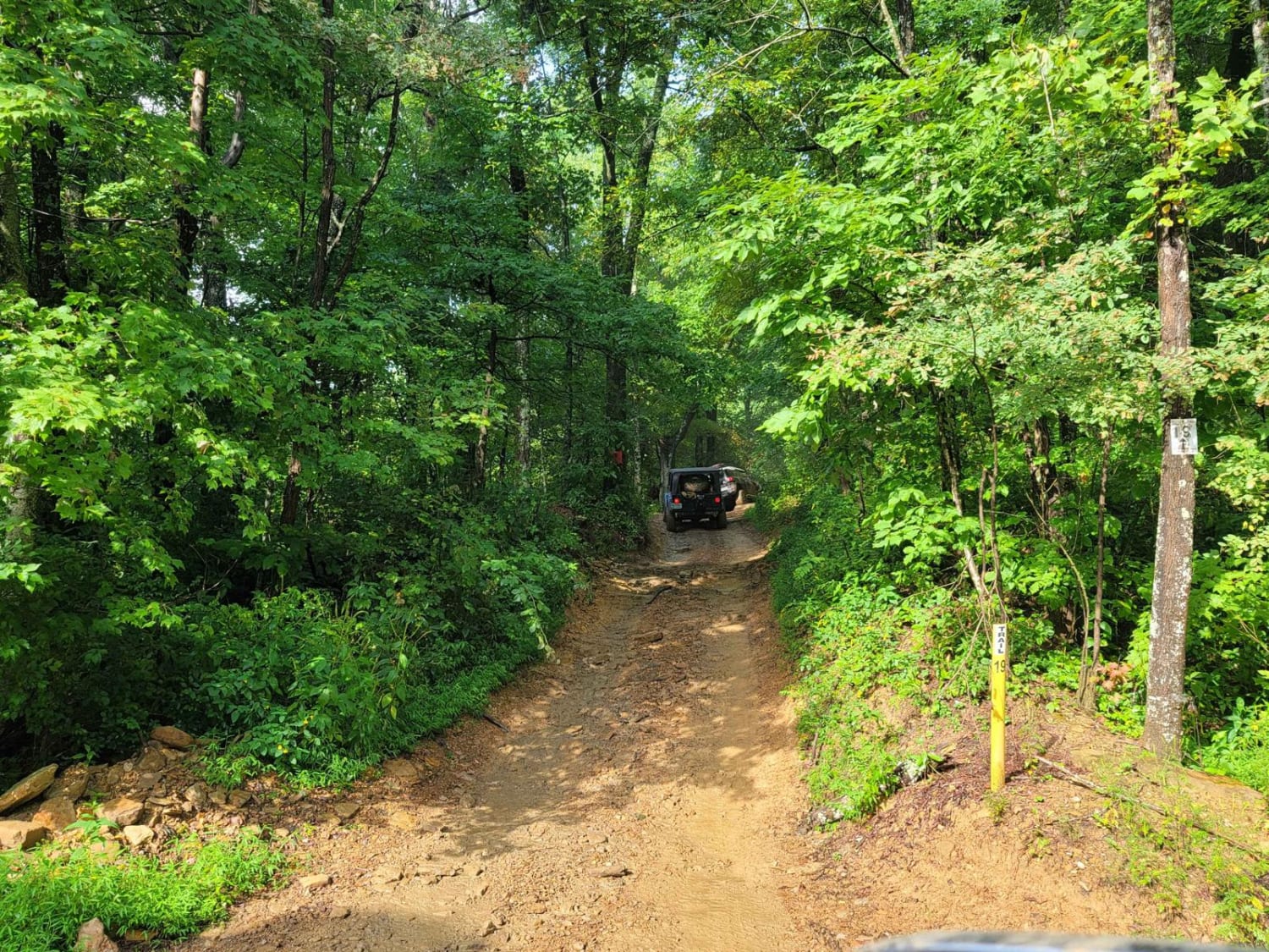 Trail 19 – Wolf Ridge