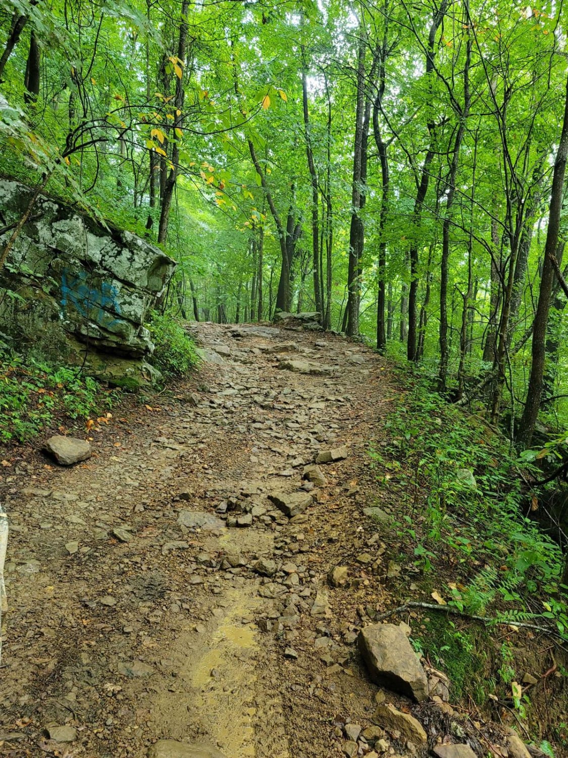 Trail 19 - Wolf Ridge