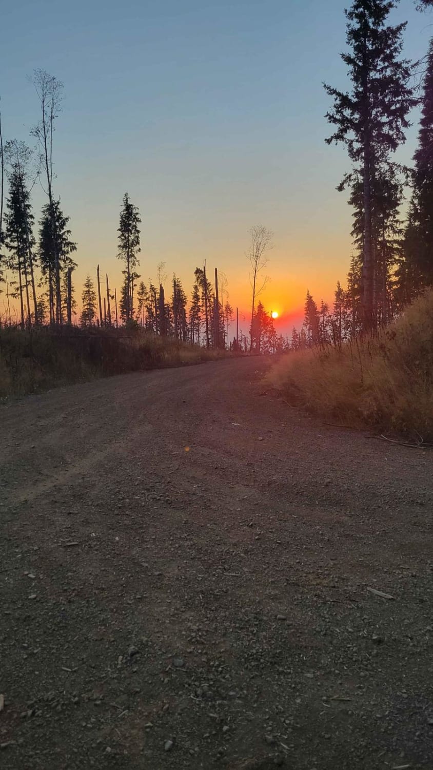 Osterman Cabin Trail