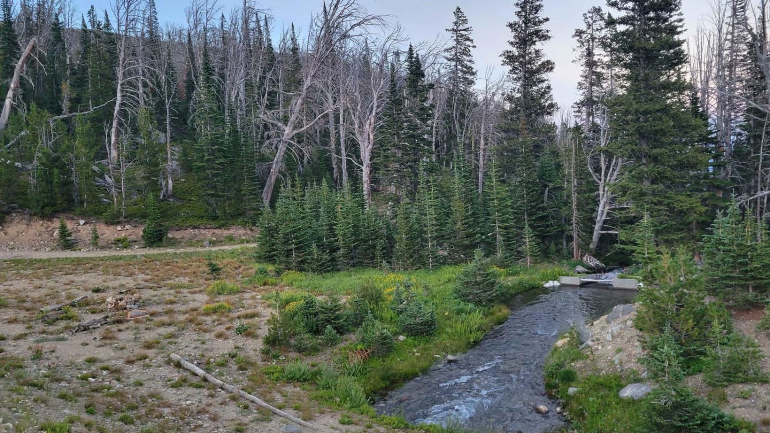 South Meadow Creek Lake