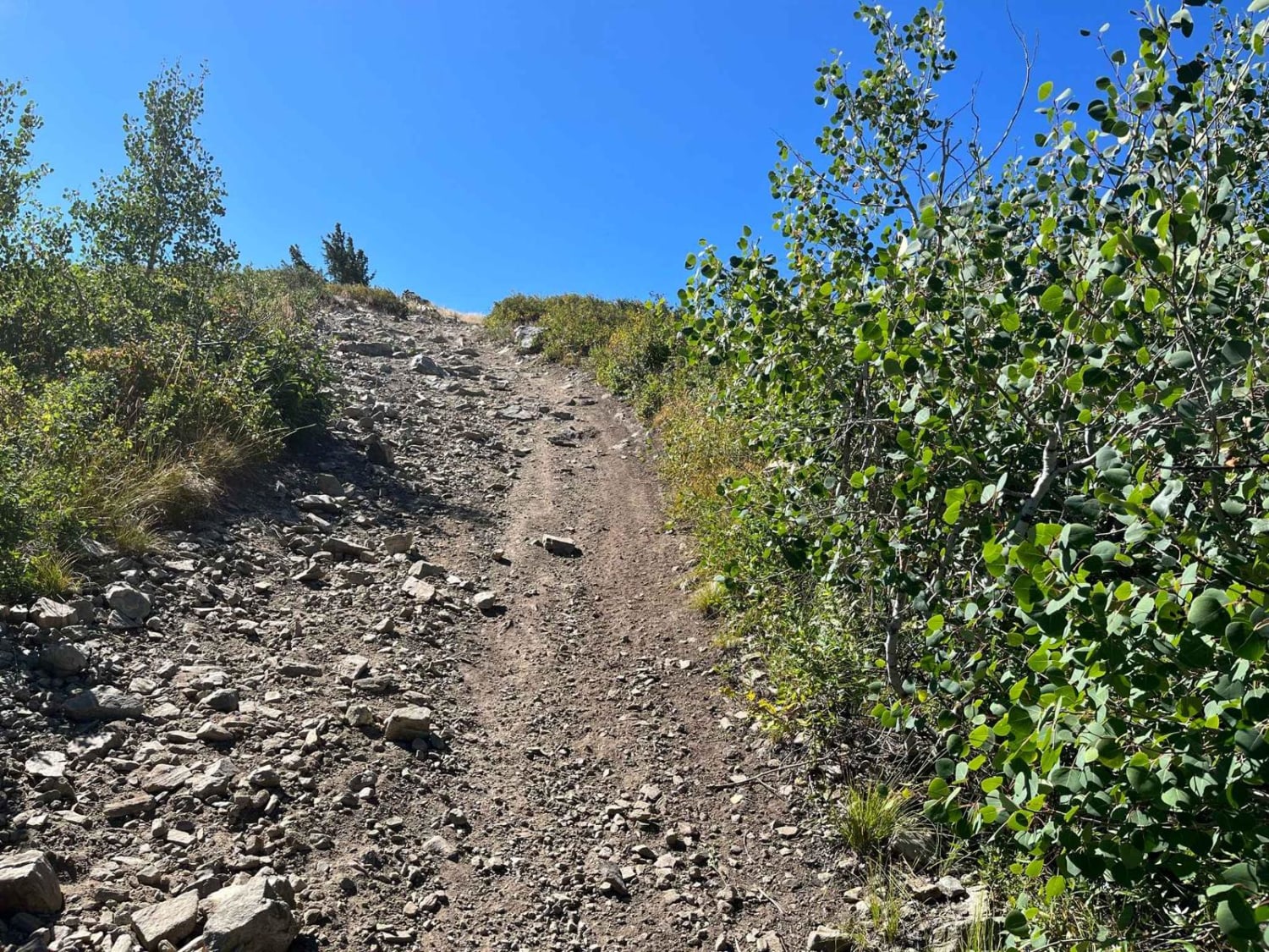 Gold Hill, Utah OffRoad Trail Map & Photos onX Offroad