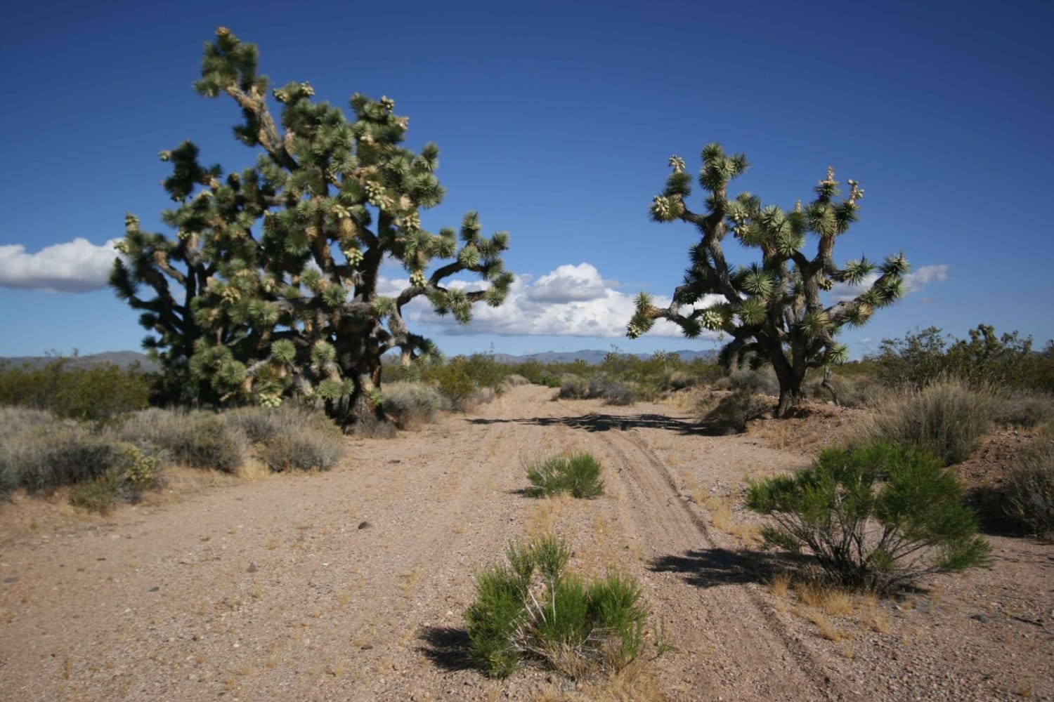 EMHT Segment 1: Needles to Ivanpah