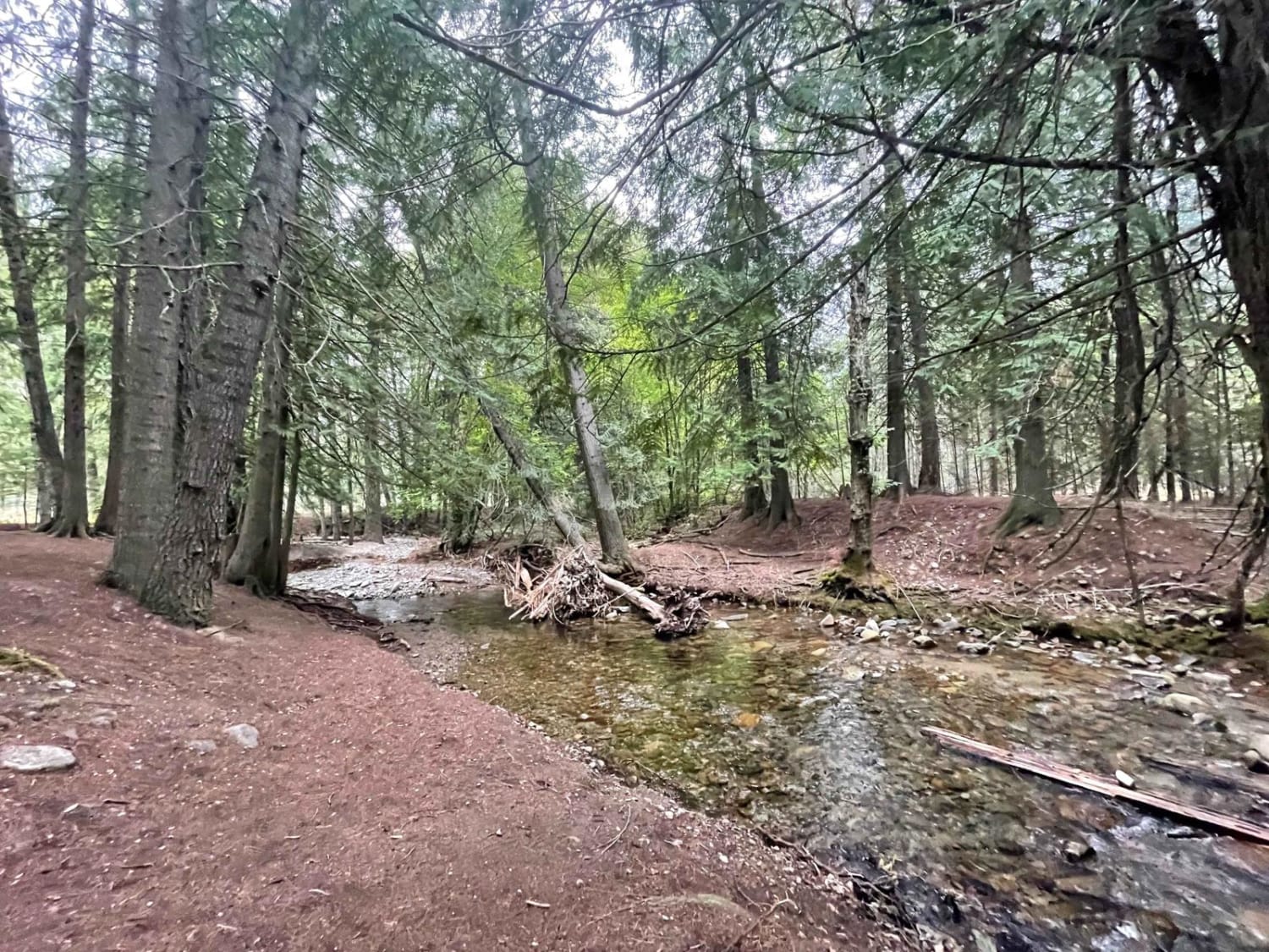 Trestle Creek Trail