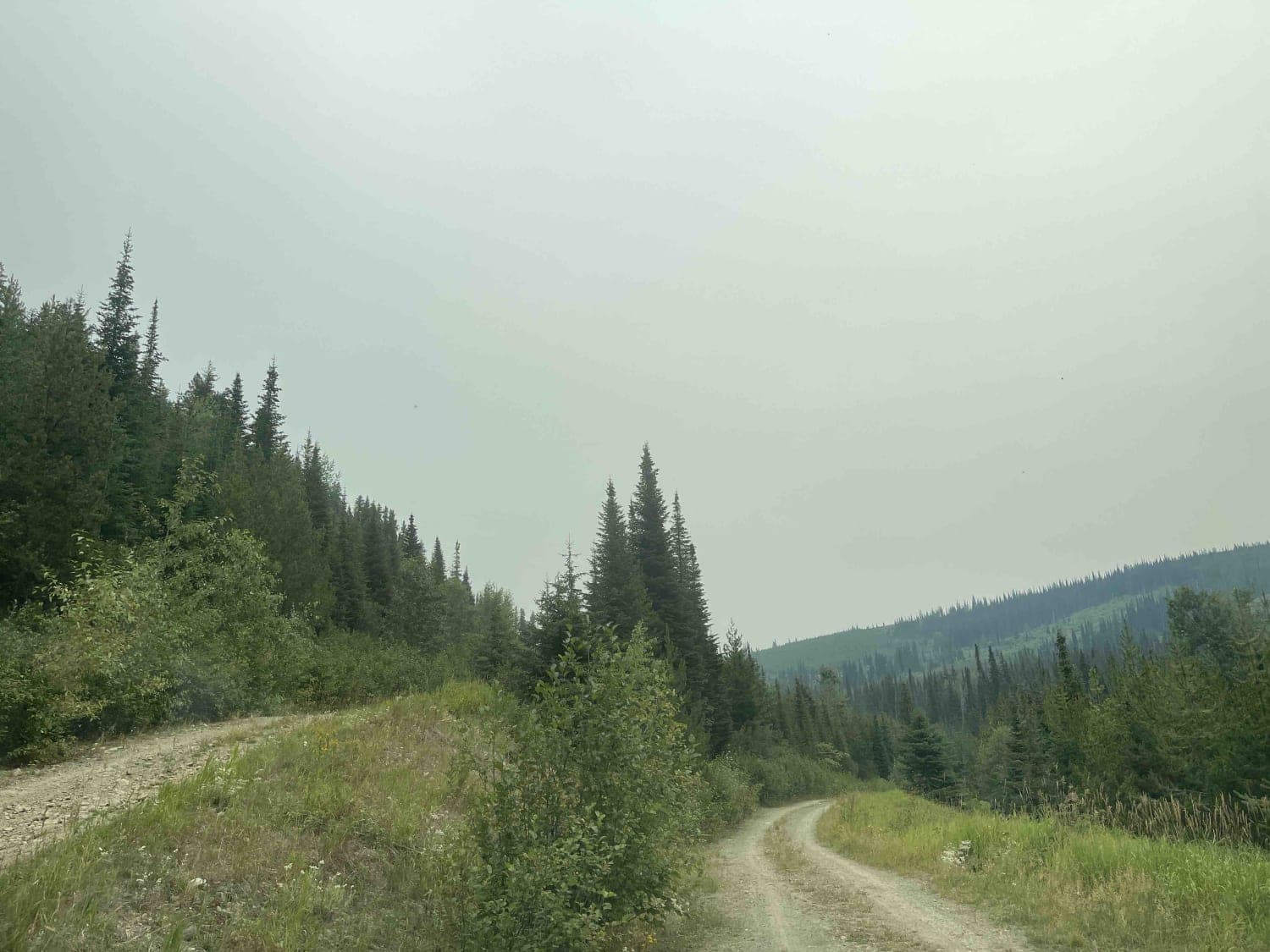 Eureka Road