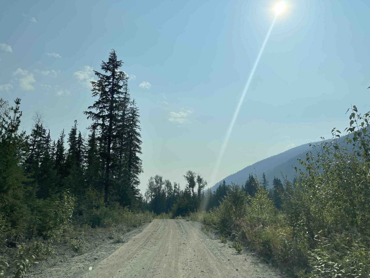 West Whatshan Road to Lookout