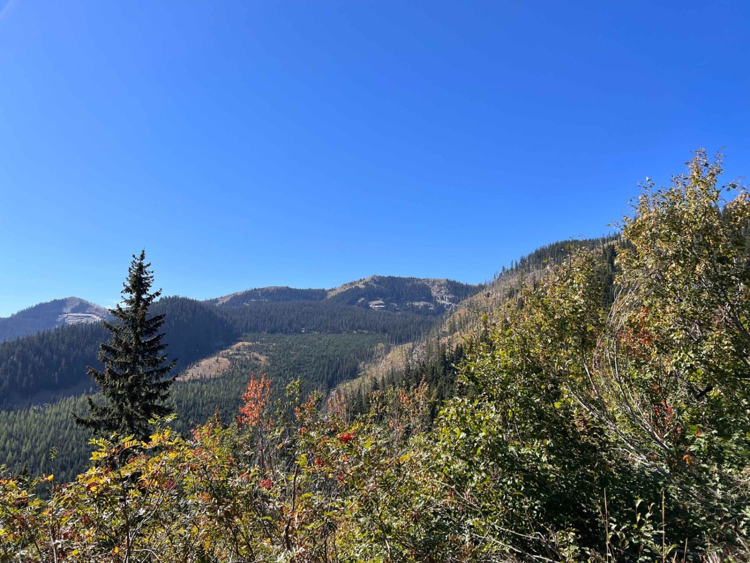 North Branch of Martin Creek