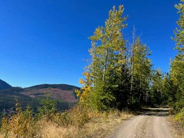 South Barriere Lake Road