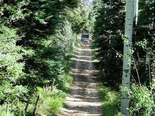 Roubideau Jeep Trail