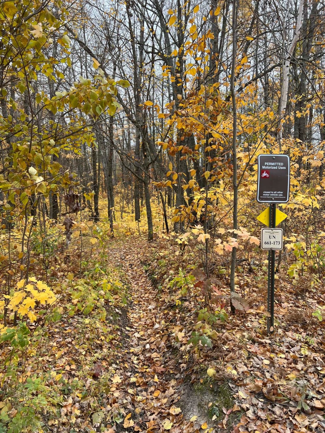 Martineau Old Forest Short Cut