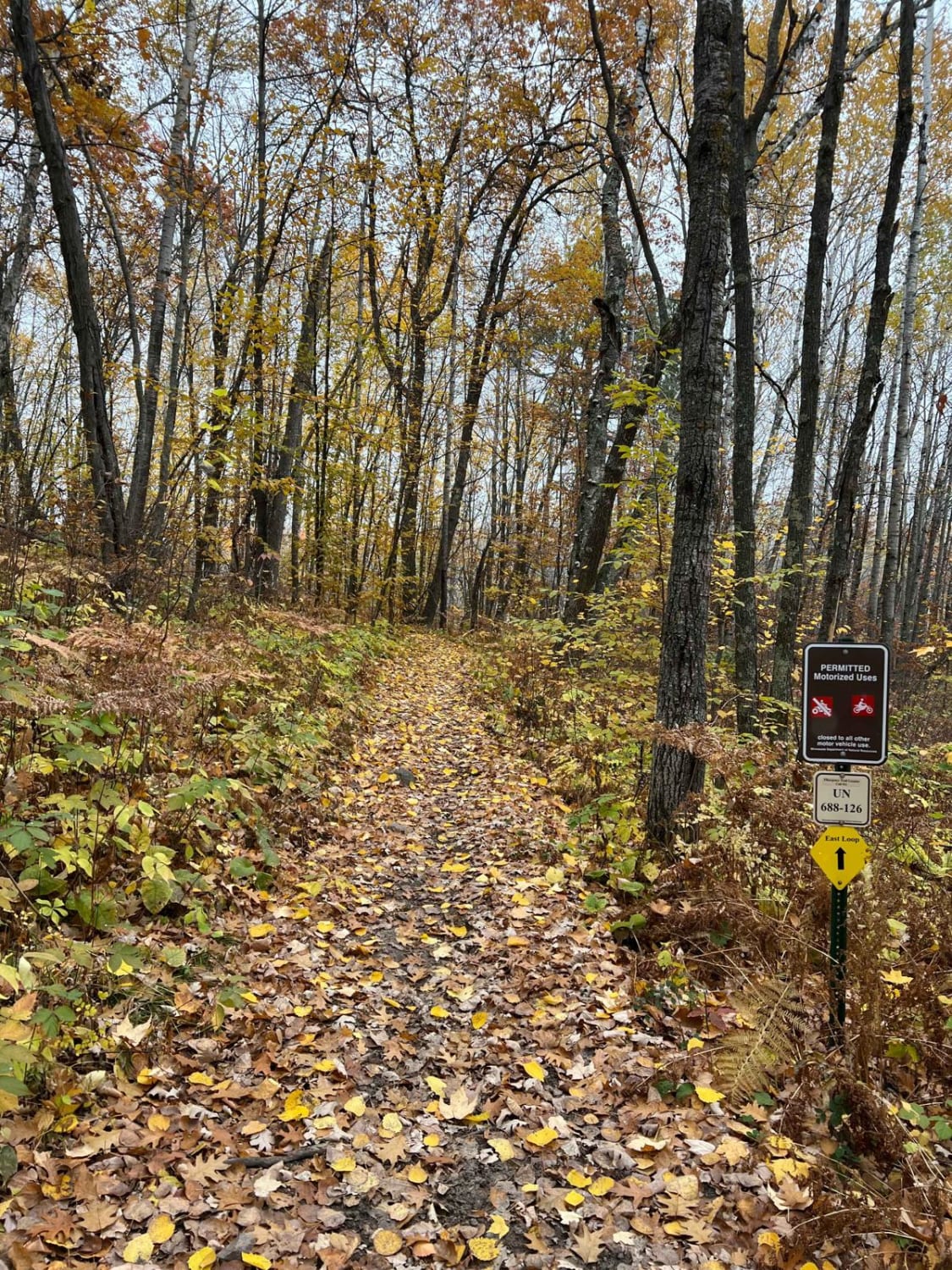 Paul Bunyan Southern Single Track Bypass