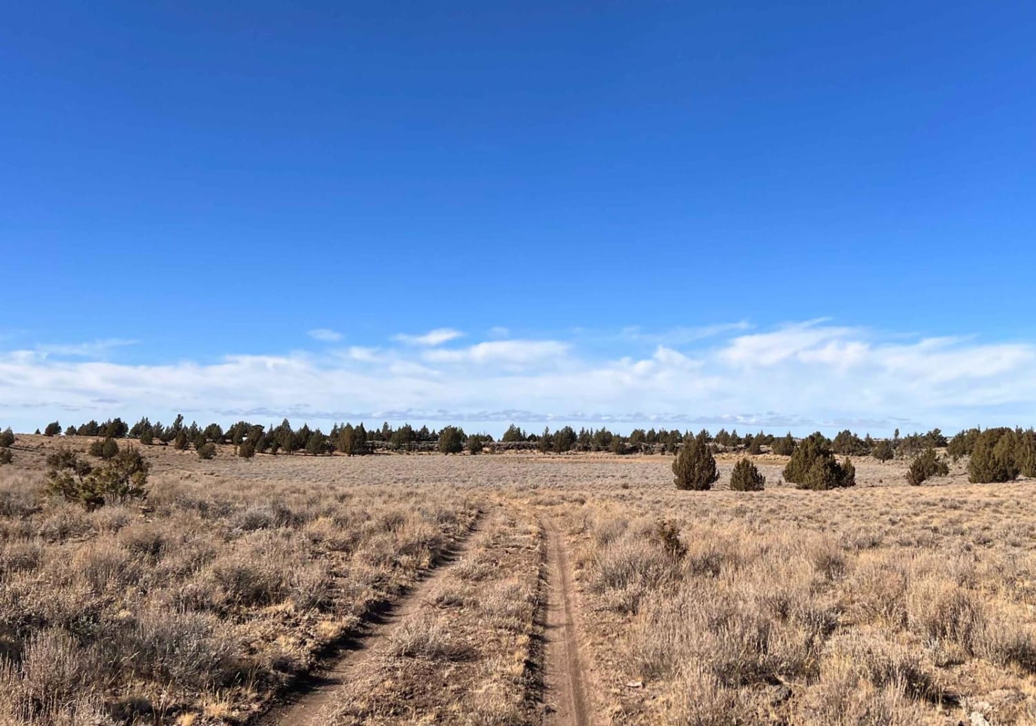 Mustang Tank Trail