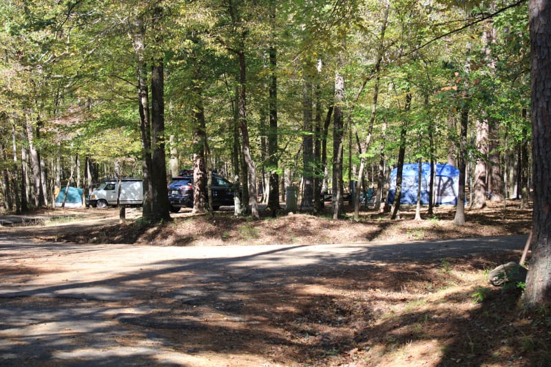 Shady Lake to Crooked Creek Falls