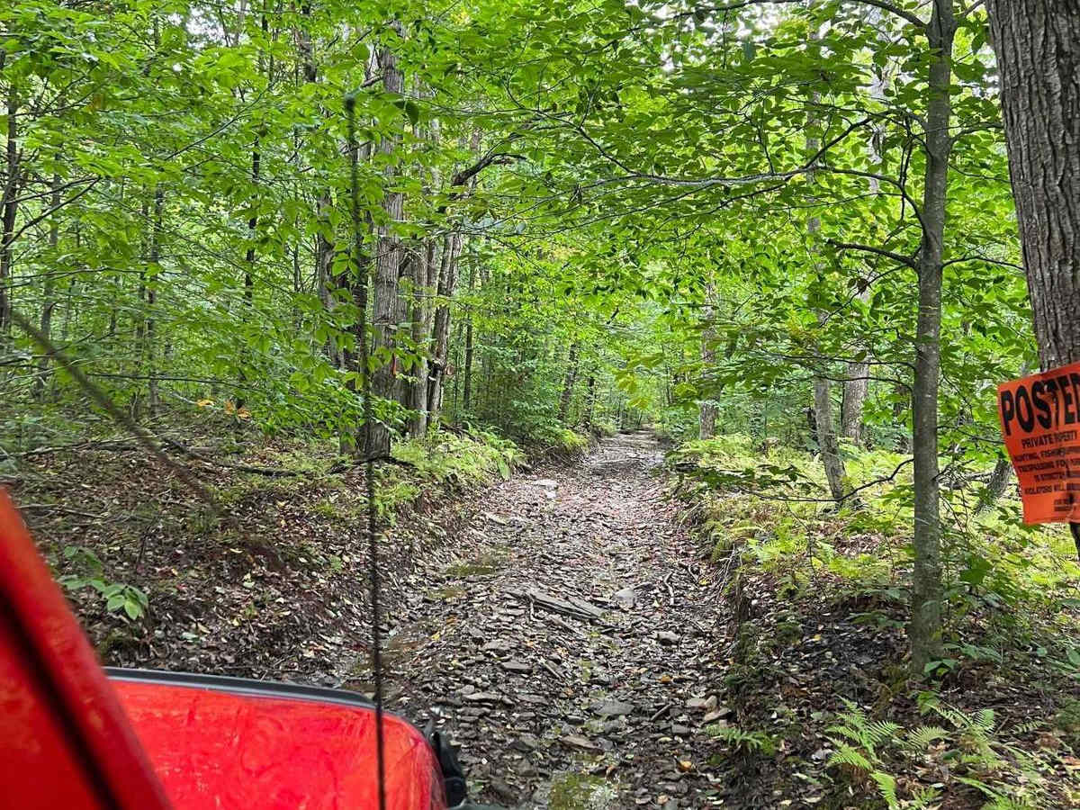 Minkler Mountain Road T668 photo 2