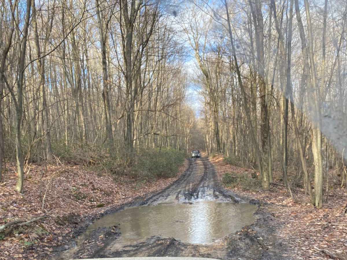Hoover Nelson trail photo