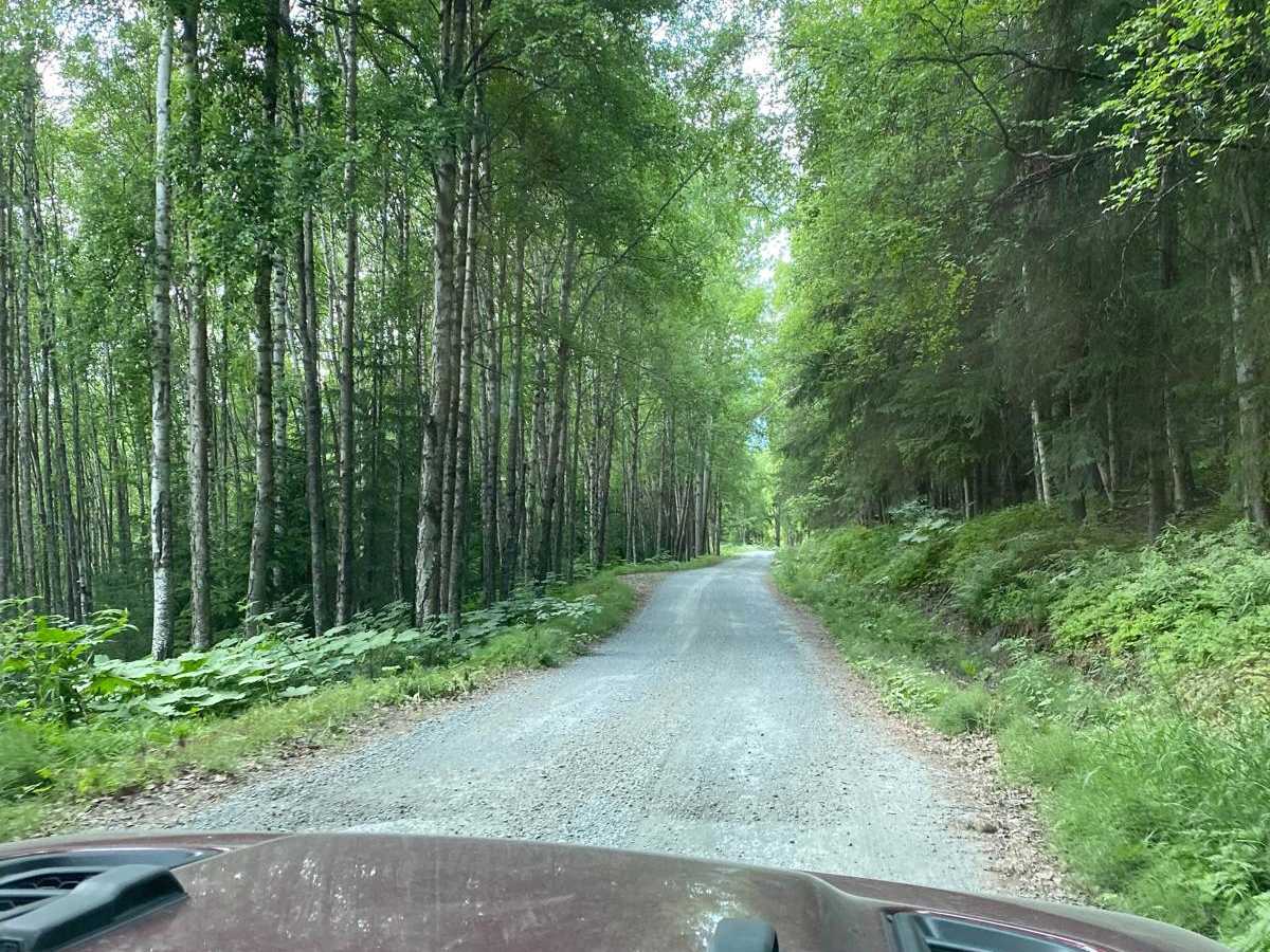 Palmer Creek Road photo 4