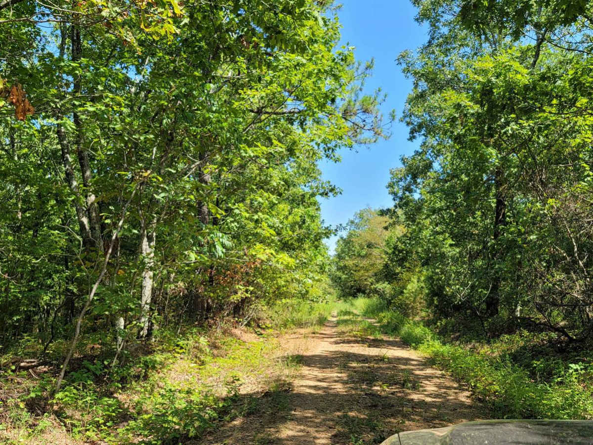 Washout Hill photo 4
