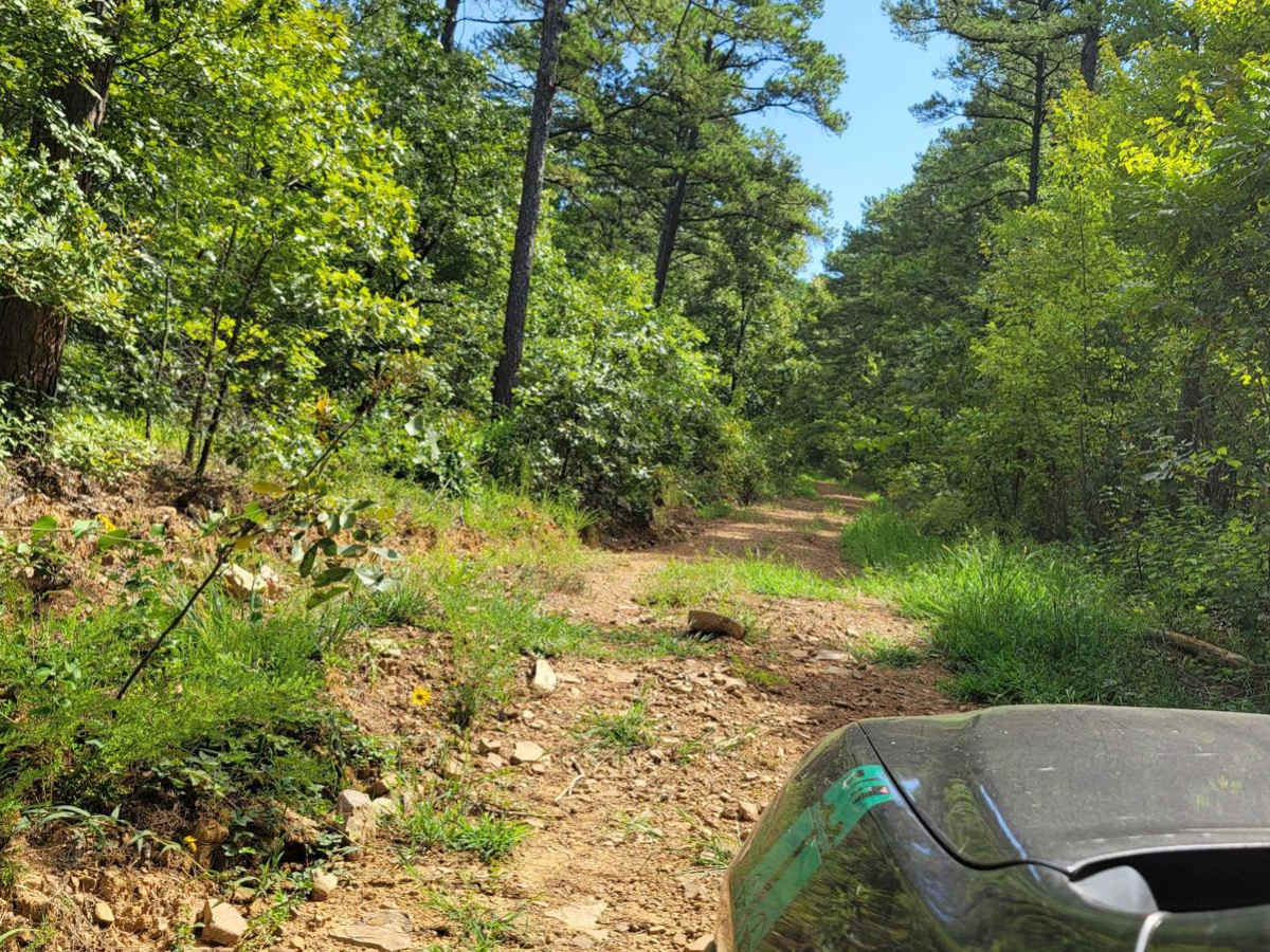 Washout Hill photo 3
