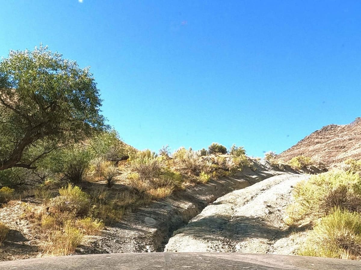 Owyhee Oxbow Basin trail photo
