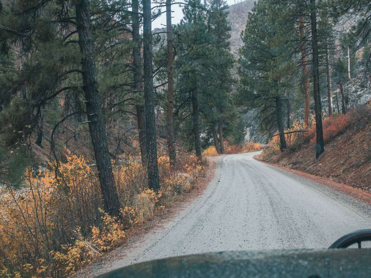 Middle Fork Road photo 3