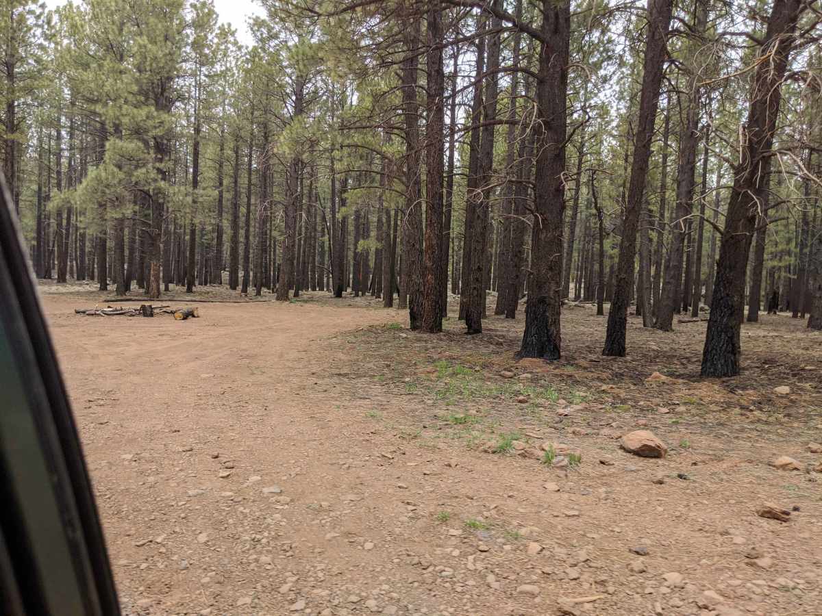Lava River Cave Road photo 5