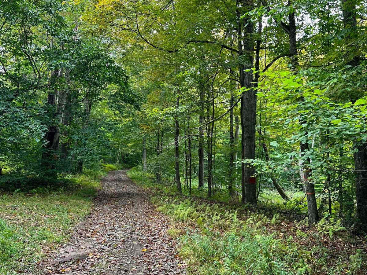 Minkler Mountain Road T668 photo 4