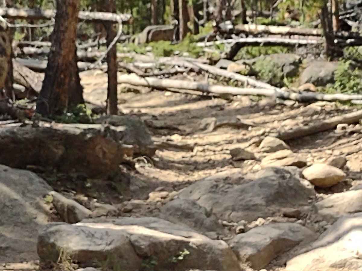 Pucker Pass to Whitetail Reservoir photo 5