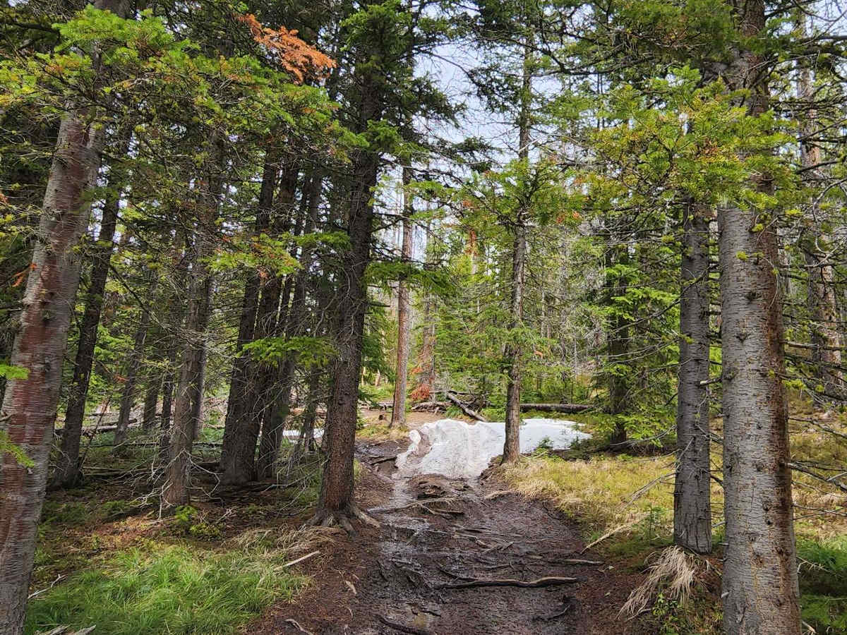 Lava Mountain Loop photo 3