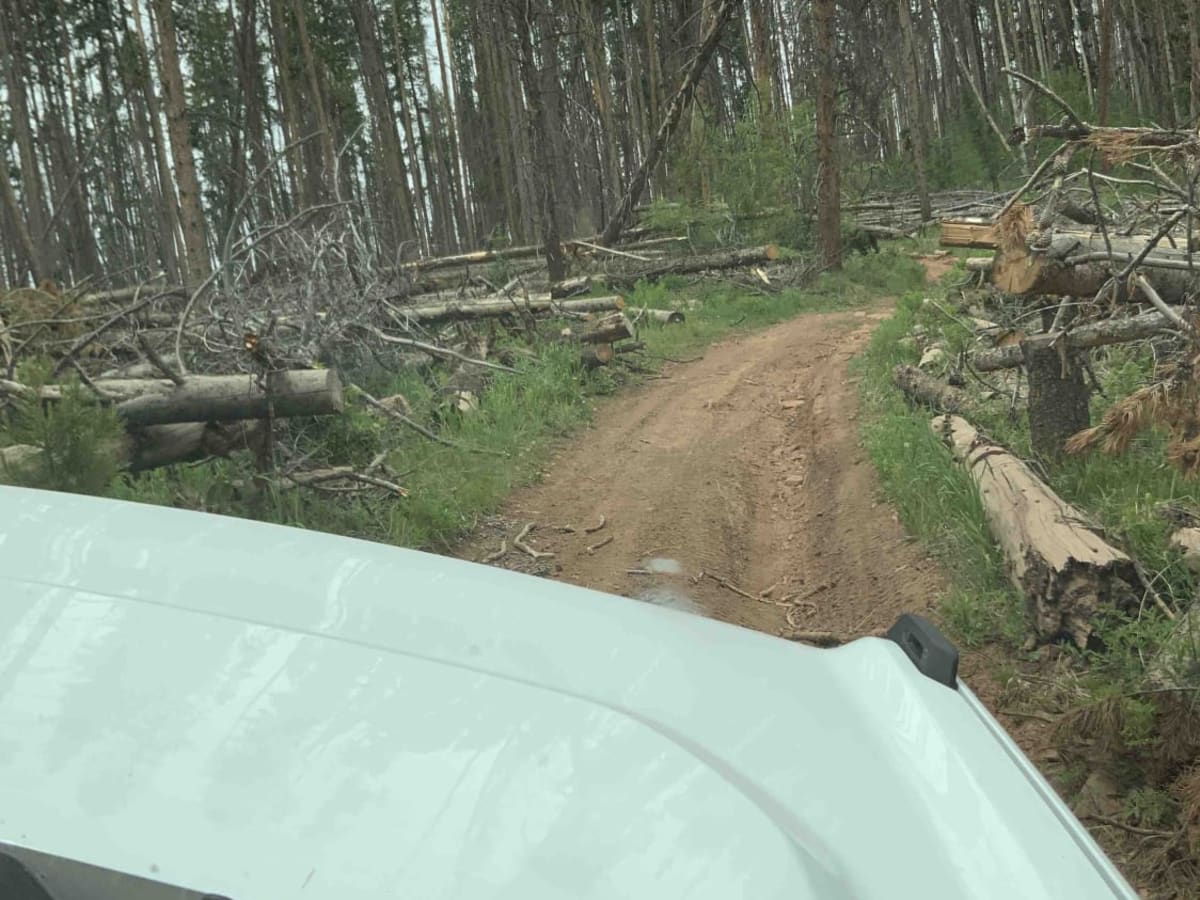 Metcalf Creek Road photo 4
