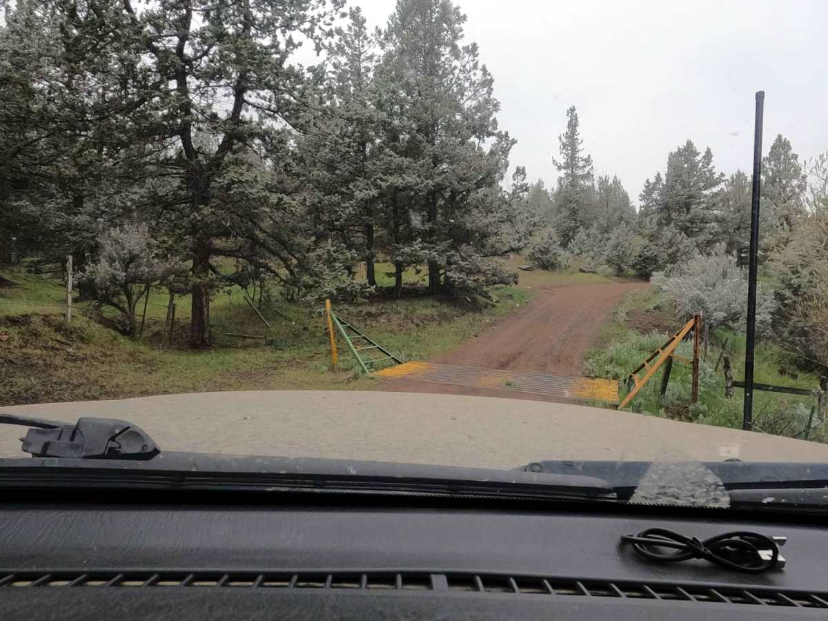 Gray Butte - NF-5700 photo 6