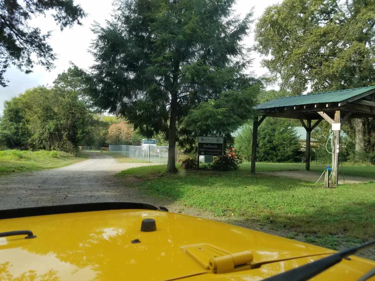 Redlands WMA photo 5