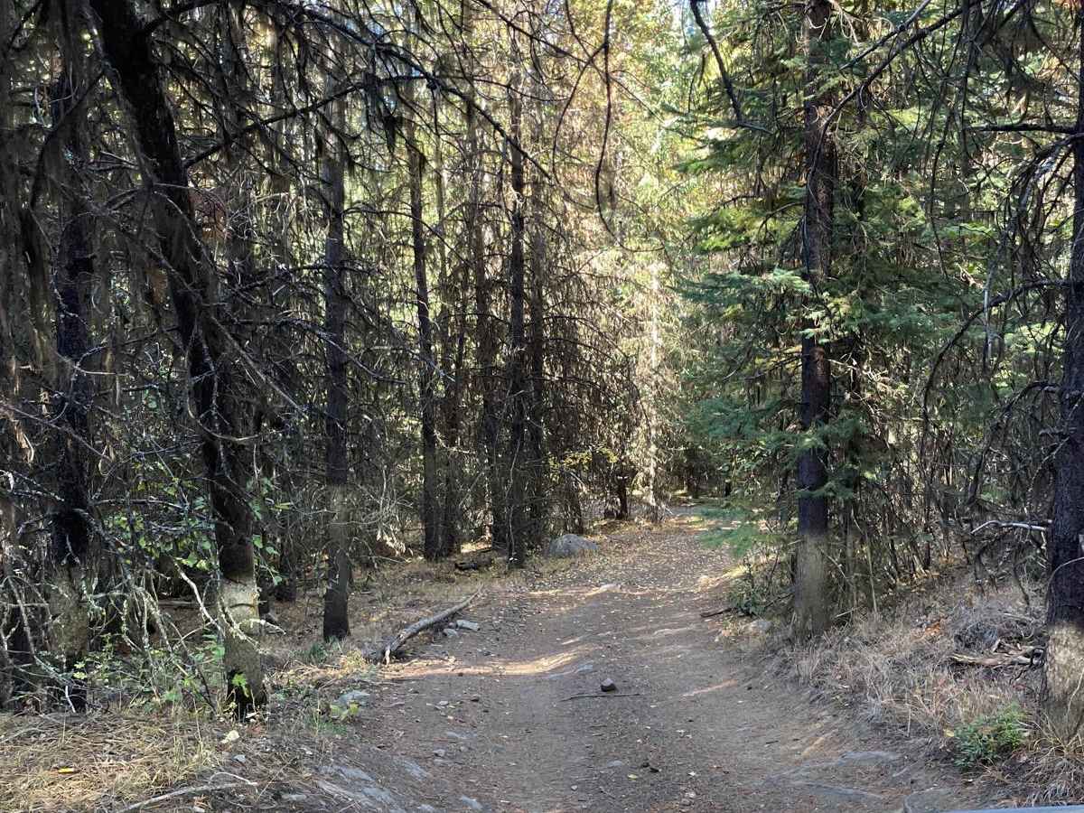 Tight Shortcut photo 6