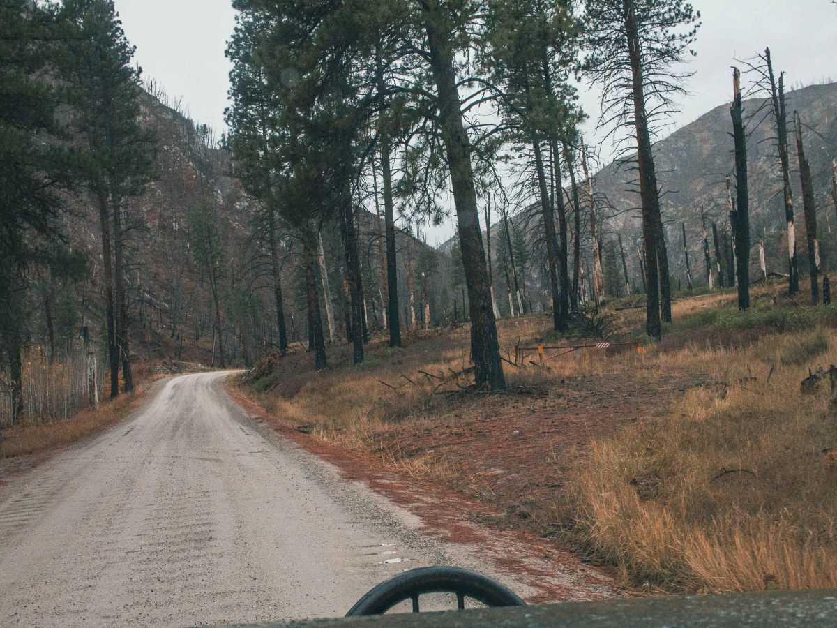 Middle Fork Road trail photo