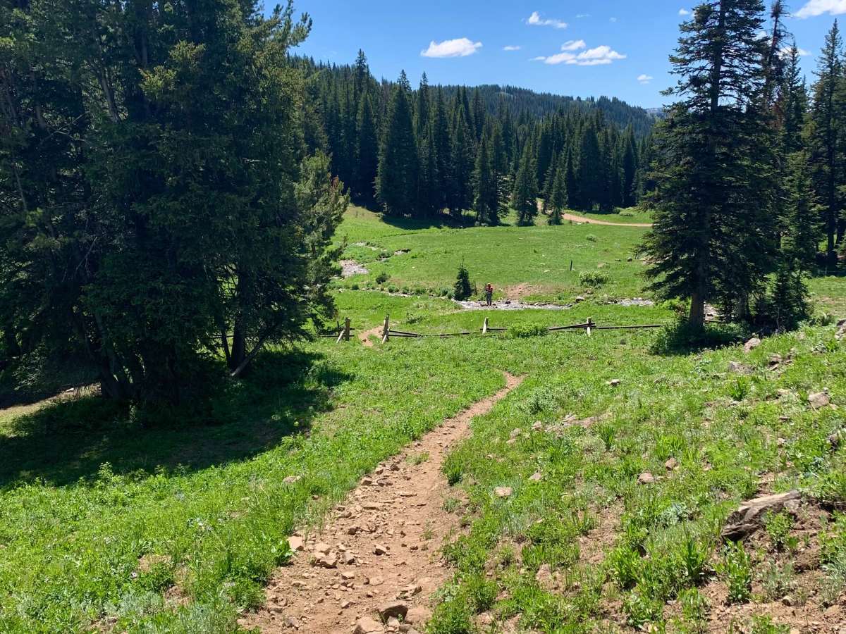 Smith Forks photo 3