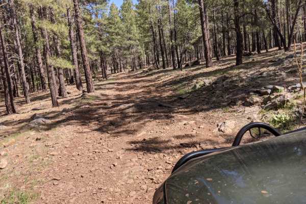 Howard Trail #245