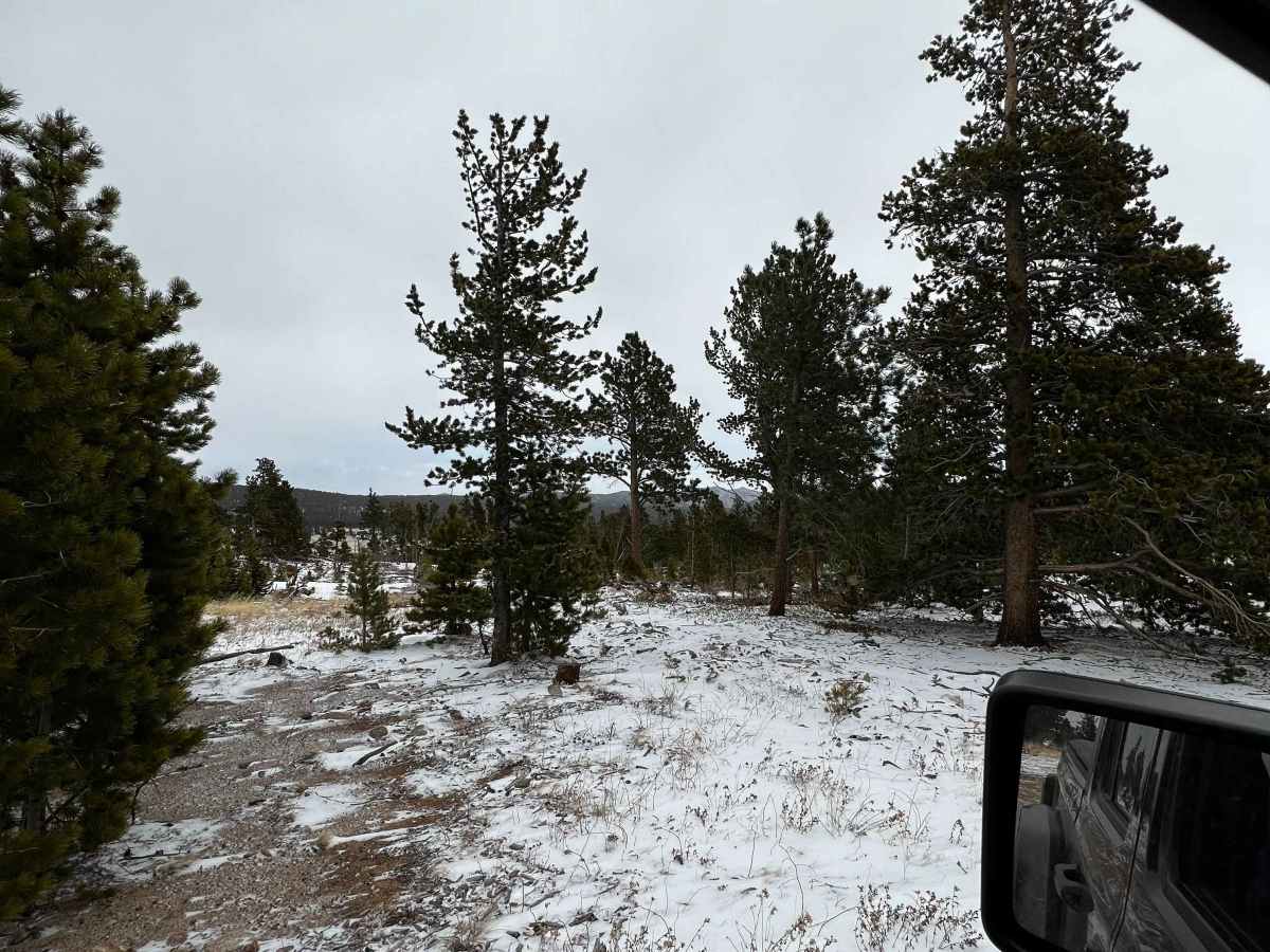 Chipmunk Gulch photo 4