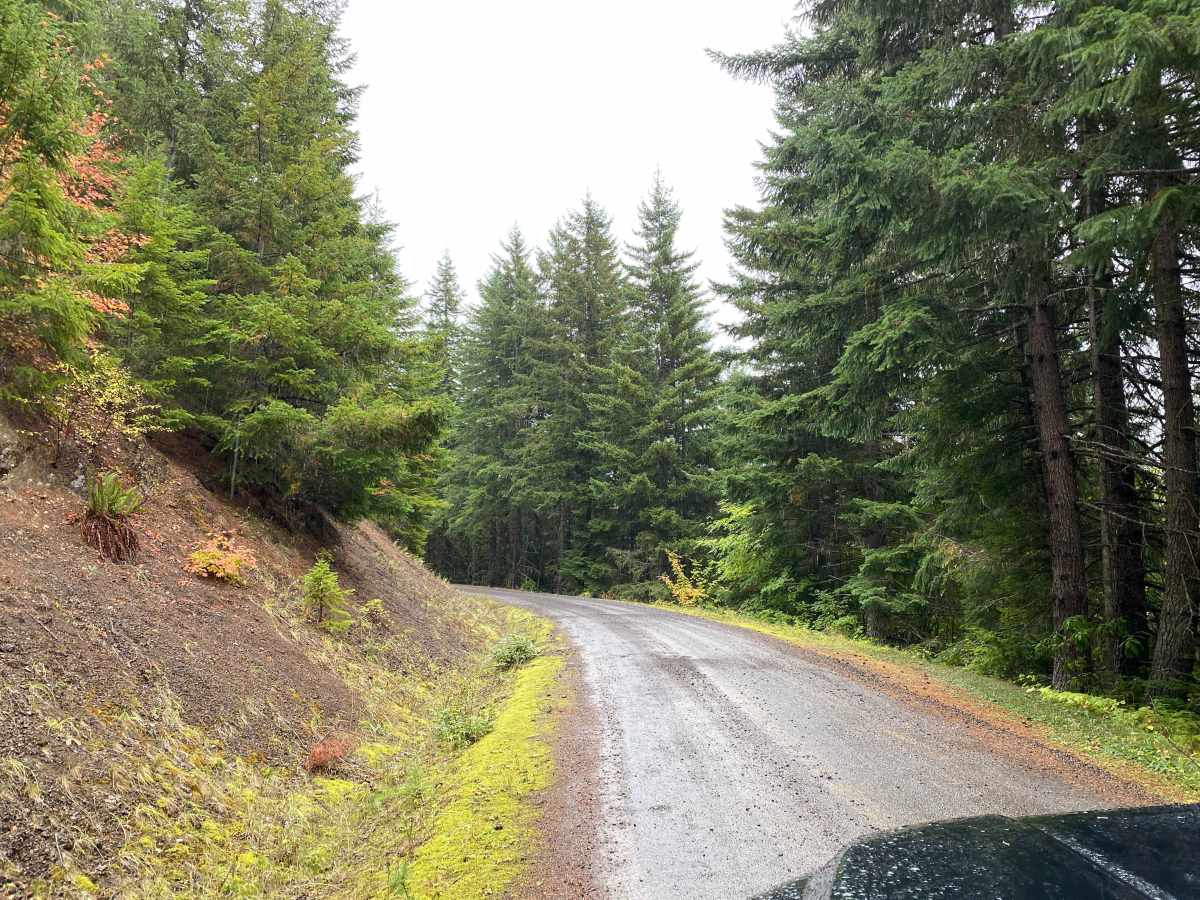 Olympic National Forest, Quilcene Range photo 2