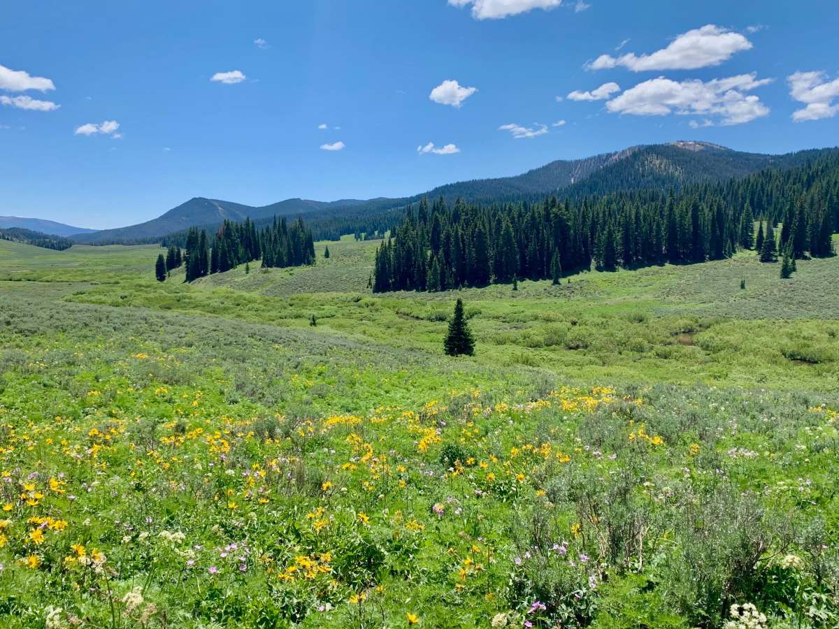 Smith Forks trail photo