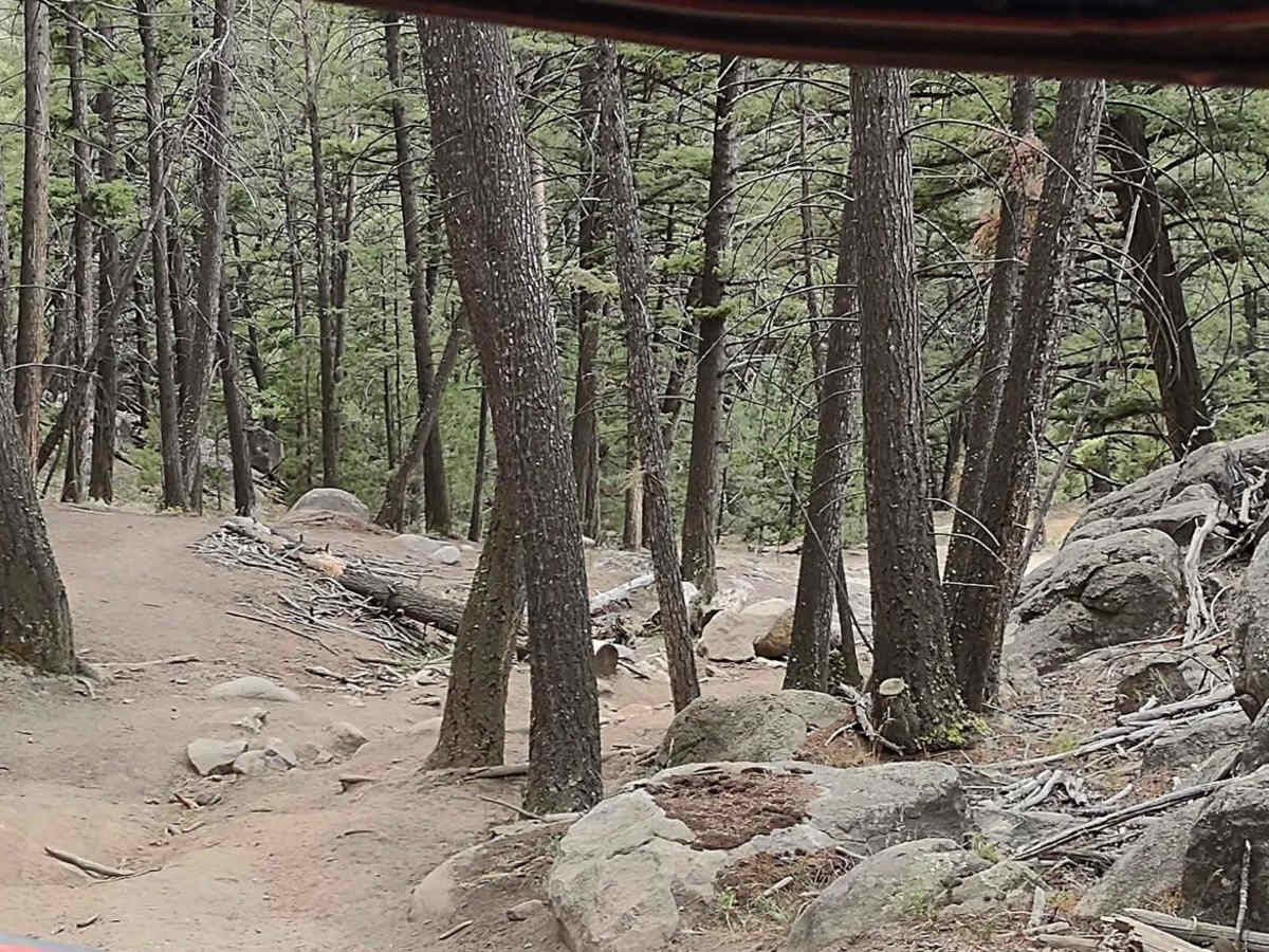 Pucker Pass to Whitetail Reservoir trail photo