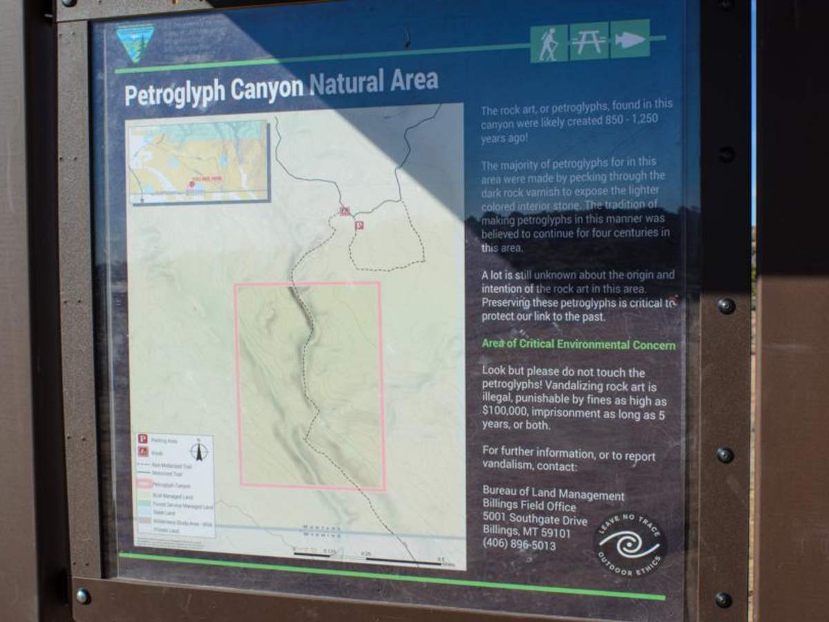 Petroglyphs Canyon Natural Area photo 3