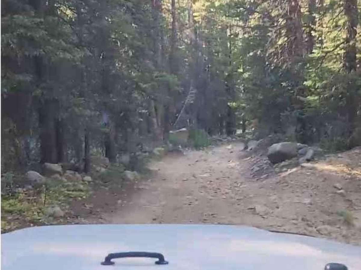 Warden Gulch Road photo 5