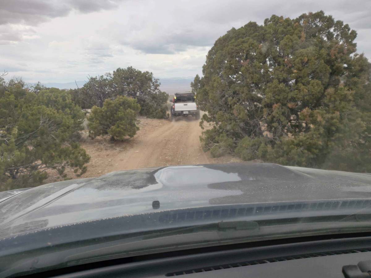 Muddy Creek Wilderness Trail trail photo
