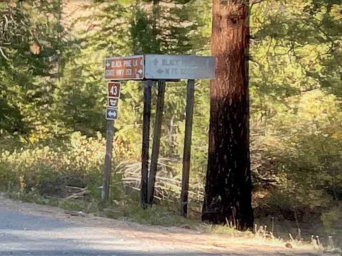 North Fork Gold Creek photo 5
