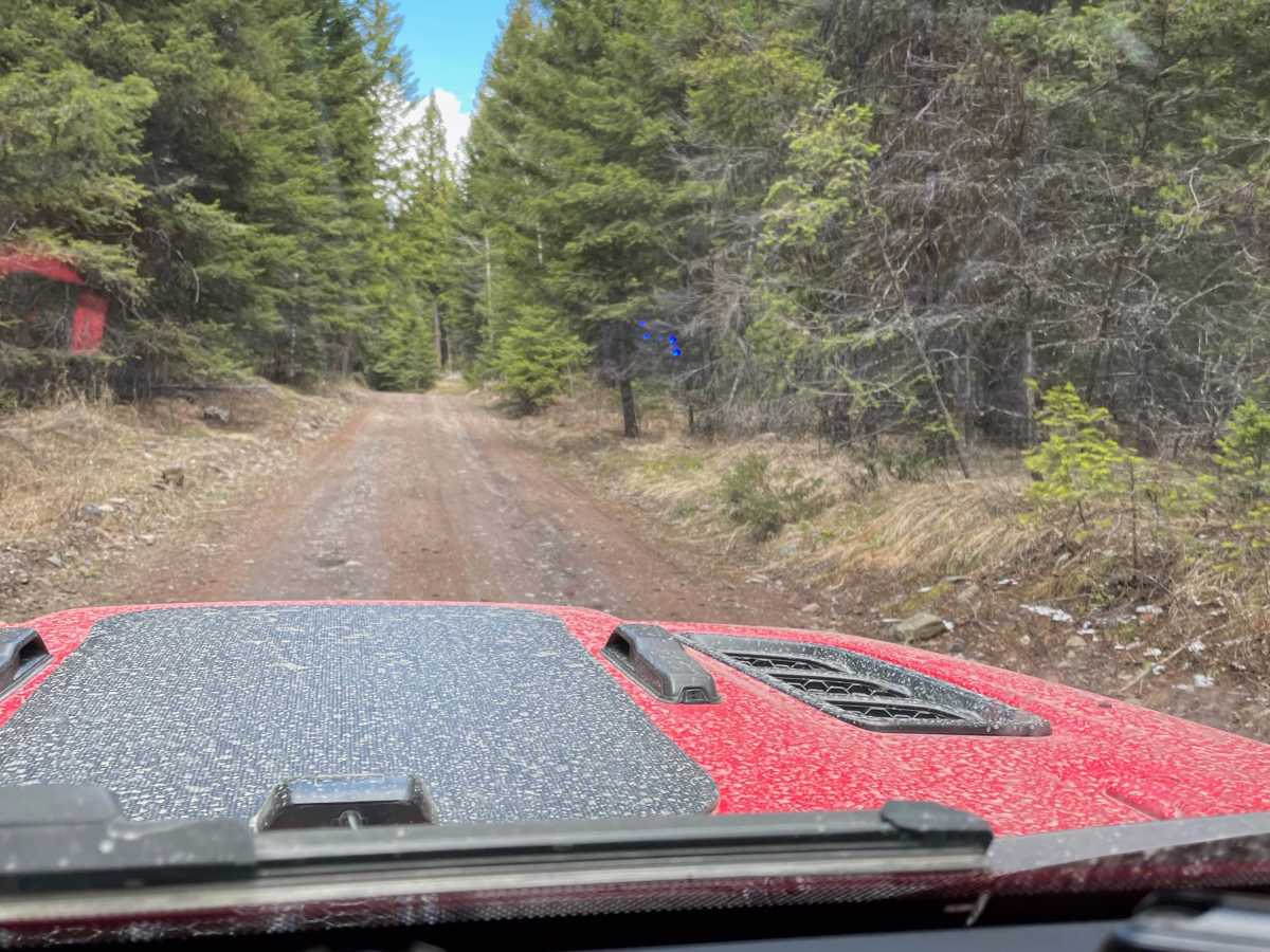 Ingram Creek FSR trail photo