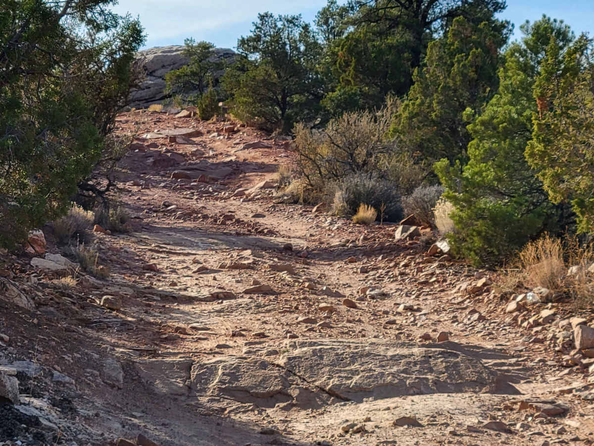 Grafton Mesa photo 3