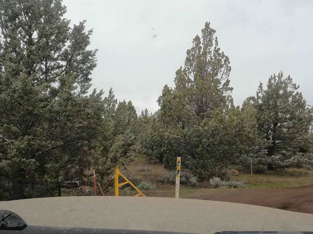 NF-5740 photo 6