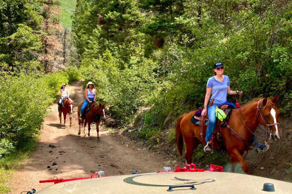 Culver Creek - County Road 14A