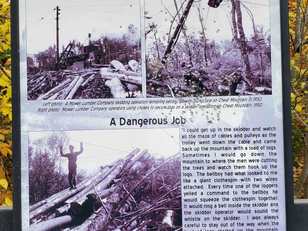 Old Mine photo 2